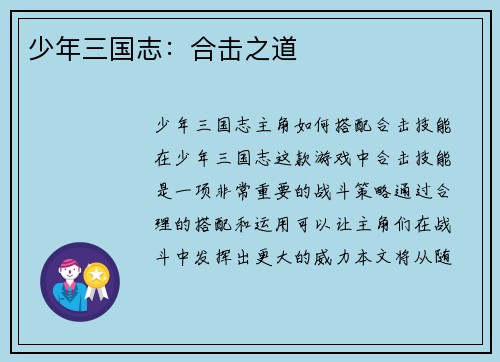 少年三国志：合击之道